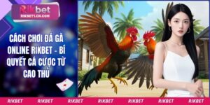 Cách chơi đá gà online