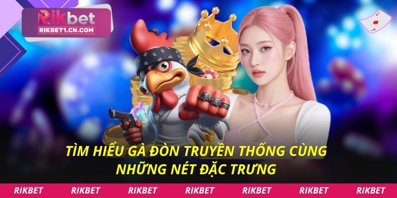 Tìm hiểu gà đòn truyền thống cùng những nét đặc trưng